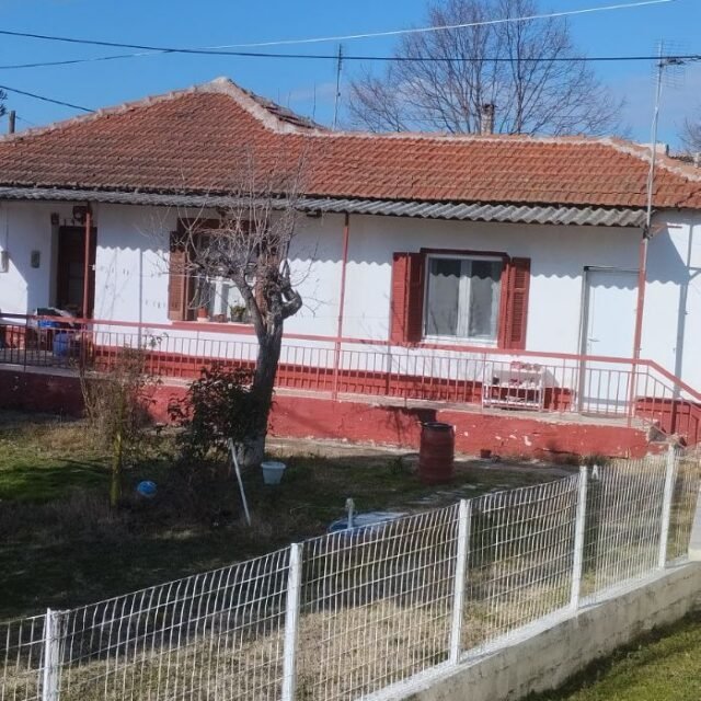 εικόνα_Viber_2025-02-10_11-56-53-572