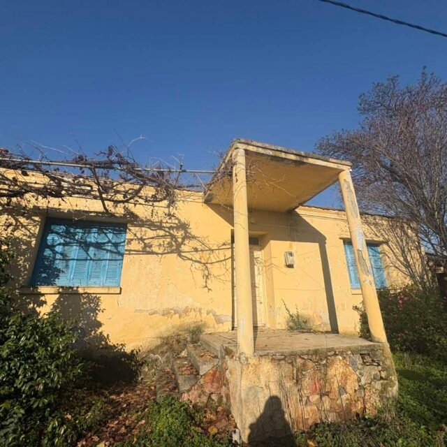 εικόνα_Viber_2025-12-16_12-14-01-263